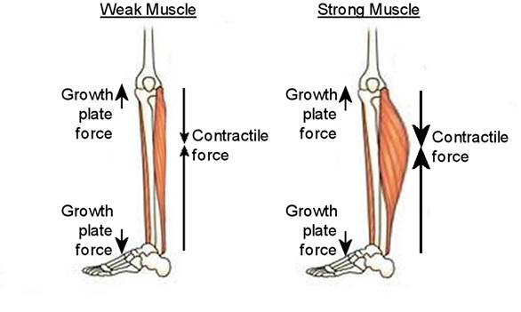 CREATOR: gd-jpeg v1.0 (using IJG JPEG v62), default quality
